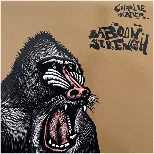 Baboon Strength - Charlie Hunter