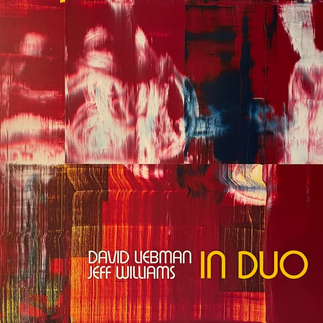 In Duo - Dave Liebman