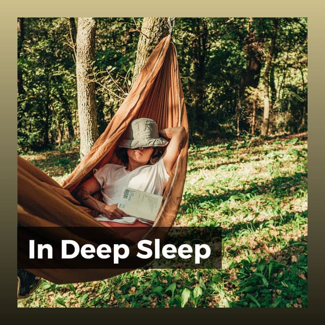 In Deep Sleep - Ruhige Musik