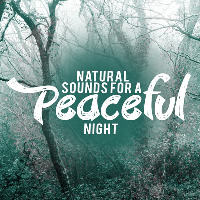 Natural Sounds for a Peaceful Night - Exam Study Nature Music Nature Sounds