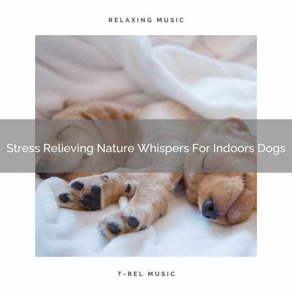 Stress Relieving Nature Whispers For Indoors Dogs - Pets Relax