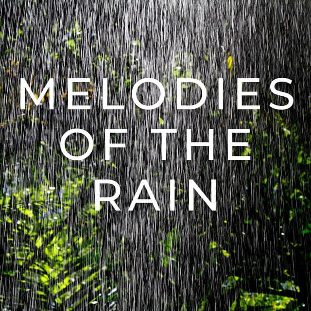 Melodies of the Rain - Sleep Sounds