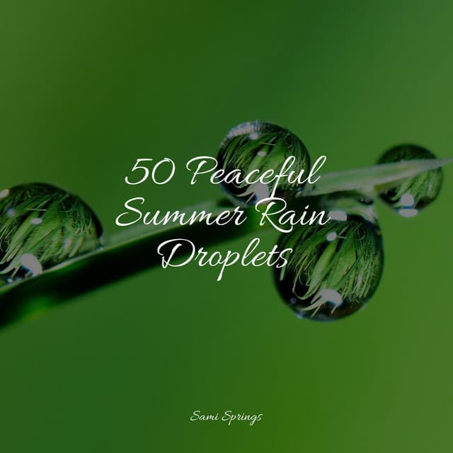50 Peaceful Summer Rain Droplets - Nature Sounds Collection