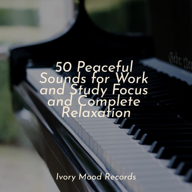 50 Peaceful Sounds for Work and Study Focus and Complete Relaxation - Piano Love Songs