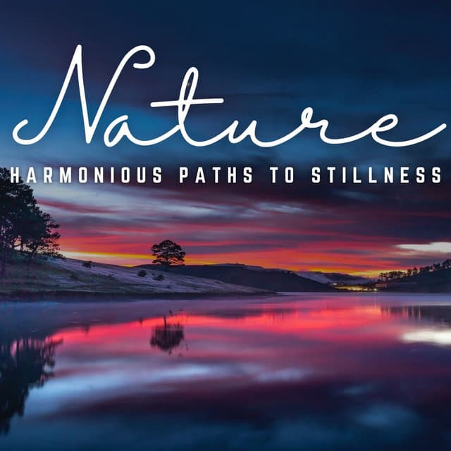 Serenity in Meditation: Harmonious Paths to Stillness - Meditation Music Solitude