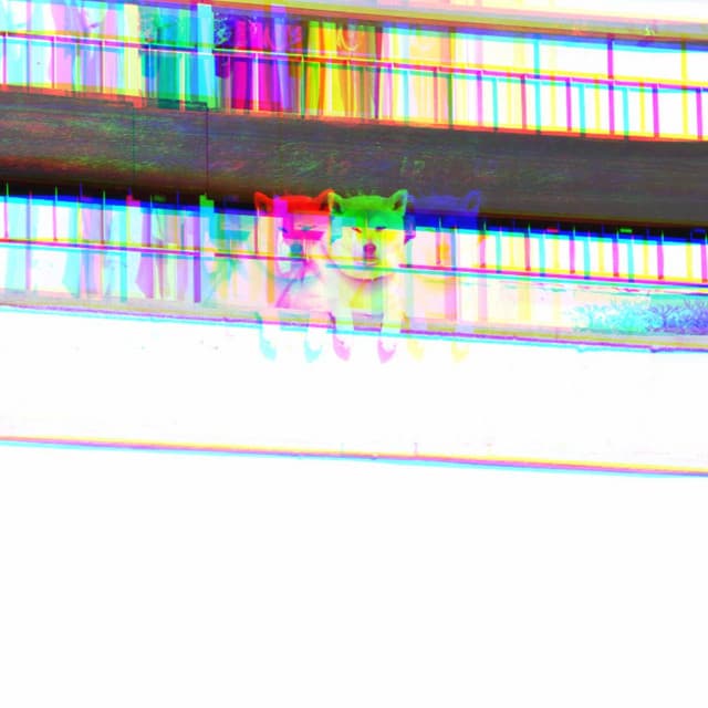 Suave Backdrop for Roaring Pups - Dog Sleeping Soundtracks Deluxe