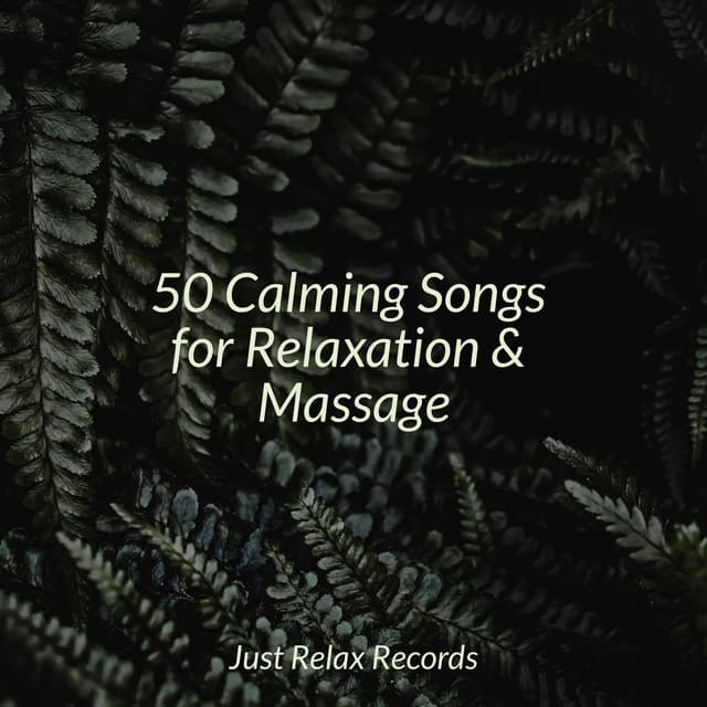 50 Calming Songs for Relaxation & Massage - Spa