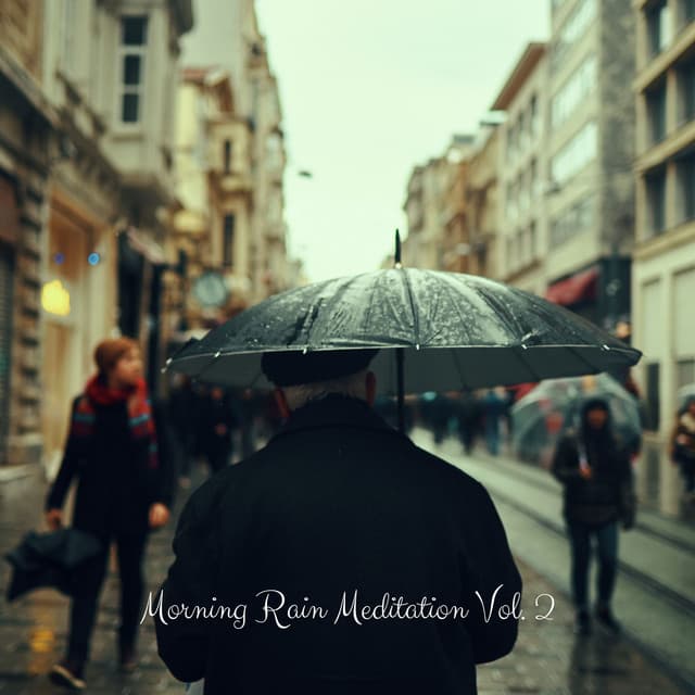 Morning Rain Meditation Vol. 2 - Native American Meditations