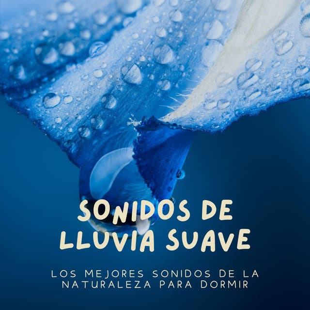 Sonidos de Lluvia Suave: Los Mejores Sonidos de la Naturaleza para Dormir - Sonidos De Lluvia y Viento
