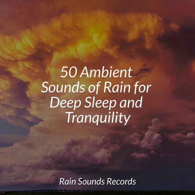 50 Ambient Sounds of Rain for Deep Sleep and Tranquility - Canciones De Cuna