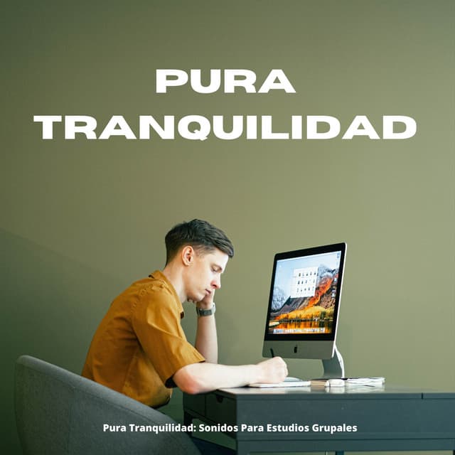 Pura Tranquilidad: Sonidos Para Estudios Grupales - Lista de Reproducción de Estudio