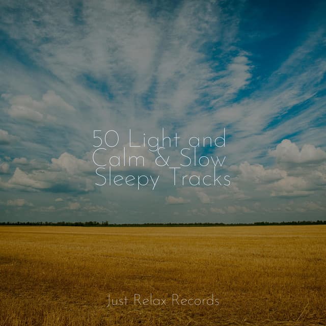 50 Light and Calm & Slow Sleepy Tracks - Exam Study Classical Music