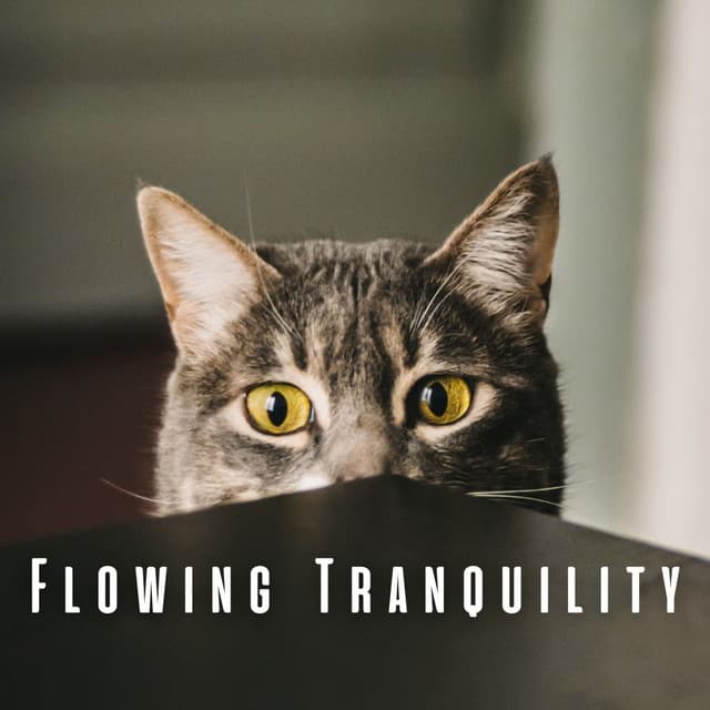 Flowing Tranquility: Calming River and Chill Music for Cats - Aquagirl