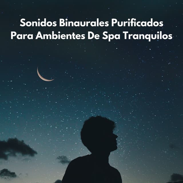 Sonidos Binaurales Purificados Para Ambientes De Spa Tranquilos - Sistemas Binaurales