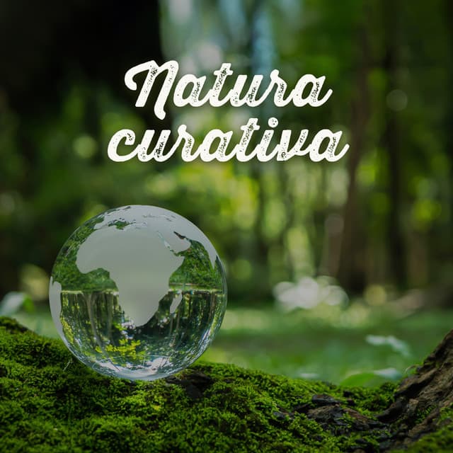 Natura curativa: Meditare con Madre Natura, ritrovare il benessere, riposare beatamente - Rilassamento Mentale