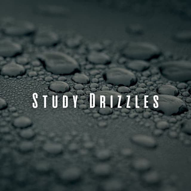 Study Drizzles: Chill Music and Rain Melodies - Rained