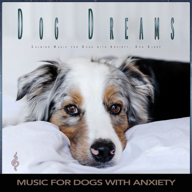 Dog Dreams: Calming Music for Dogs with Anxiety, Dog Sleep - Dog Music Dreams