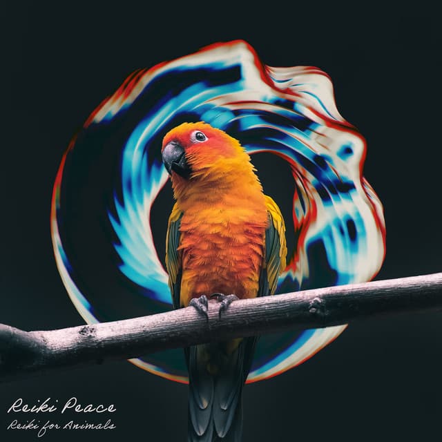 Reiki Peace - Reiki for Animals