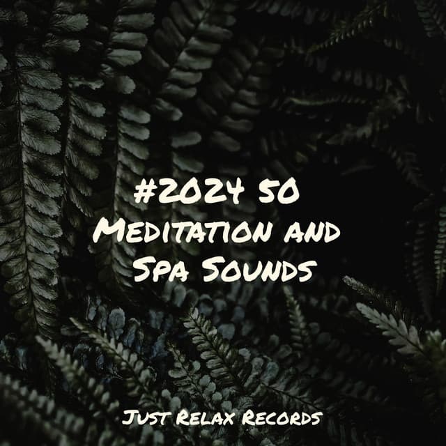 #2024 50 Meditation and Spa Sounds - Baby Lullaby