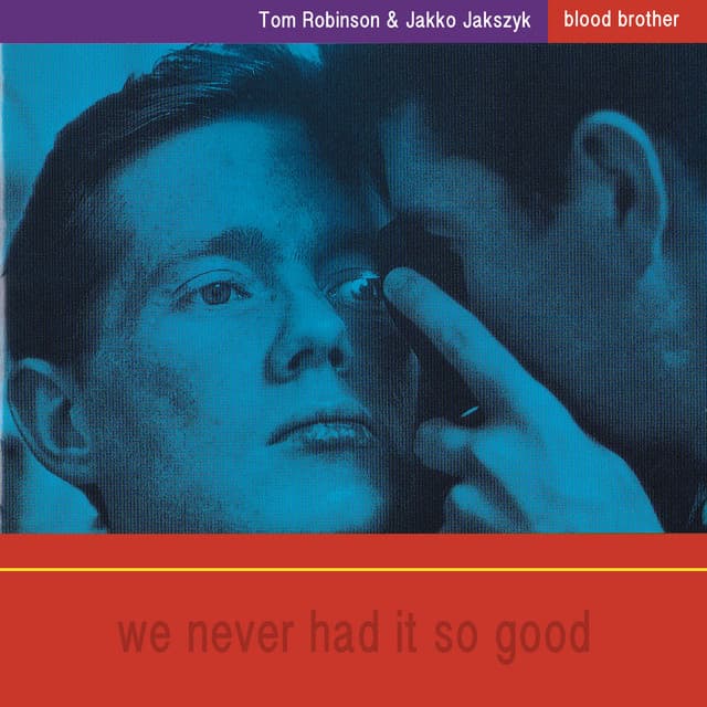 Blood Brother: We Never Had It So Good - Tom Robinson
