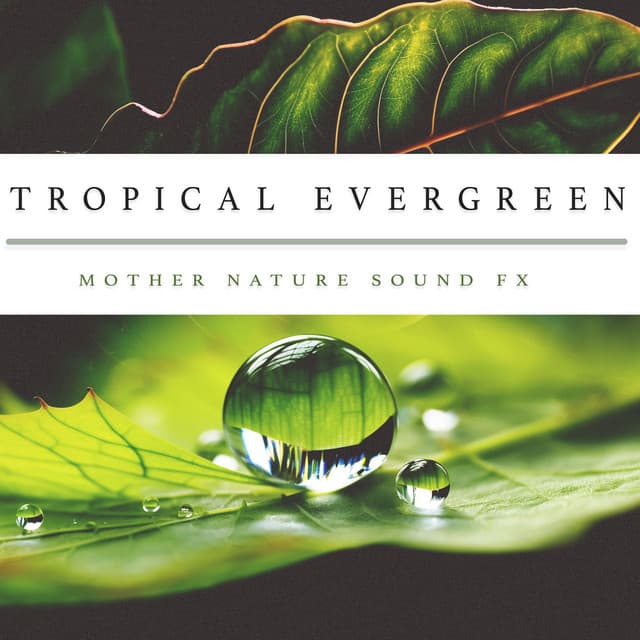 Tropical Evergreen - Mother Nature Sound FX