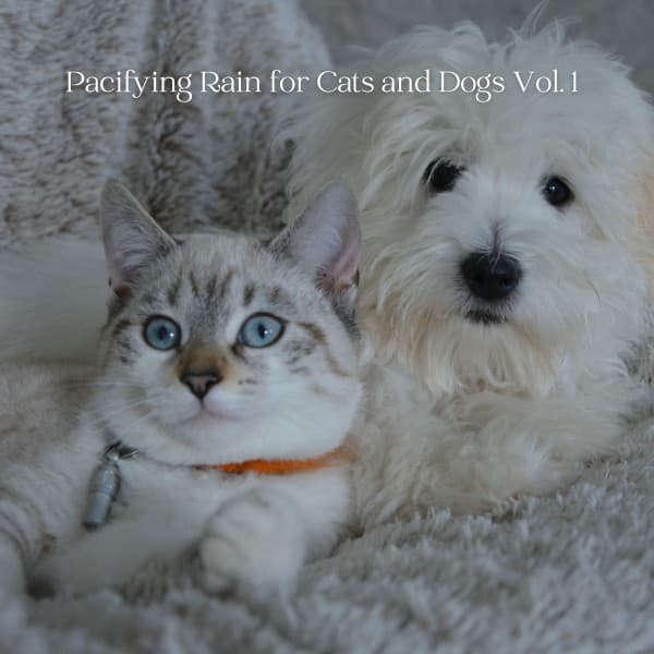Pacifying Rain for Cats and Dogs Vol. 1 - Relaxing Music for Dogs