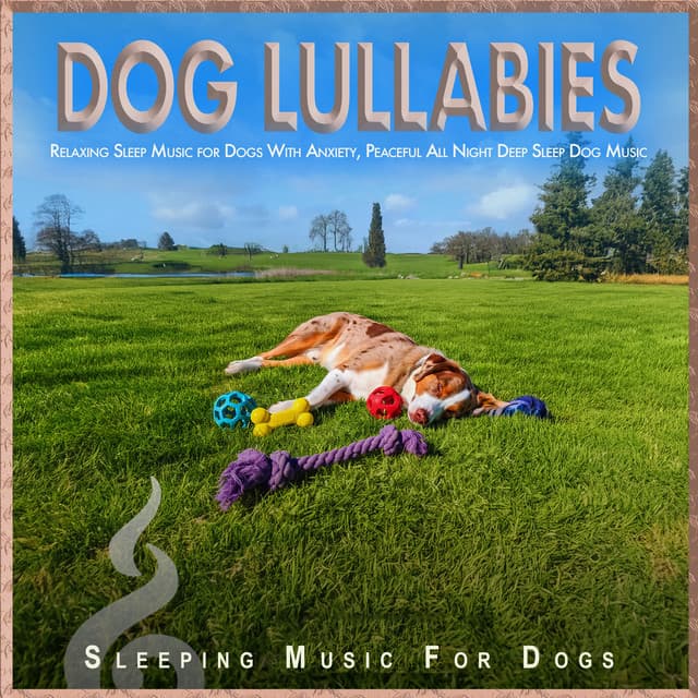 Dog Lullabies: Relaxing Sleep Music for Dogs With Anxiety, Peaceful All Night Deep Sleep Dog Music - Sleeping Music For Dogs