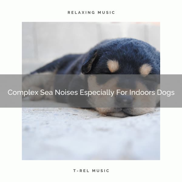Complex Sea Noises Especially For Indoors Dogs - Pets Total Relax