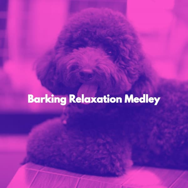 Barking Relaxation Medley - Reading Jazz Classics