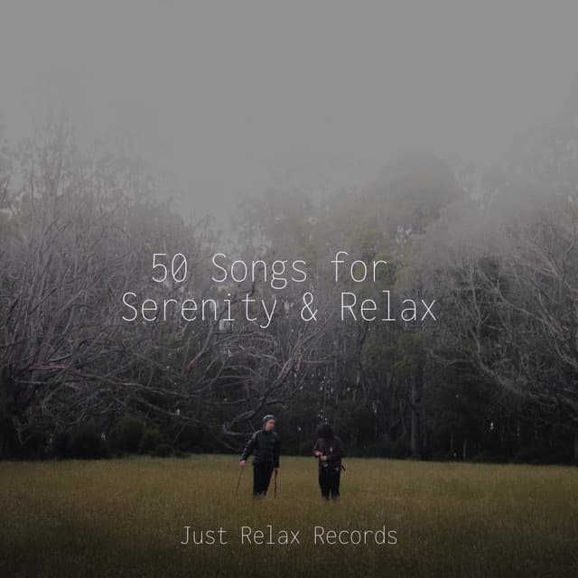 50 Songs for Serenity & Relax - Yoga Namaste