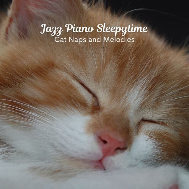 Jazz Piano Sleepytime: Cat Naps and Melodies - Best Jazz Lounge Bar