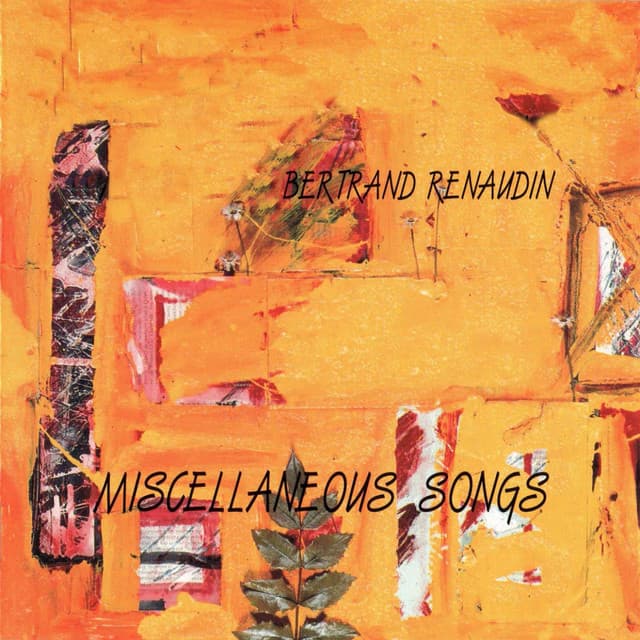 Miscellaneous Songs - Bertrand Renaudin