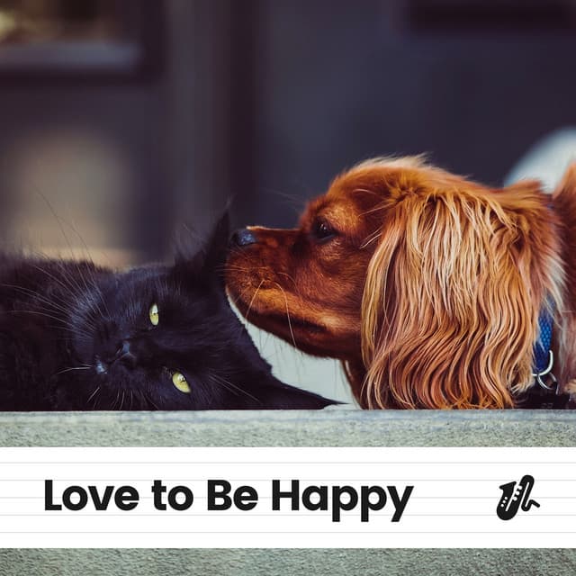 Love to Be Happy - Jazz Music Therapy for Cats