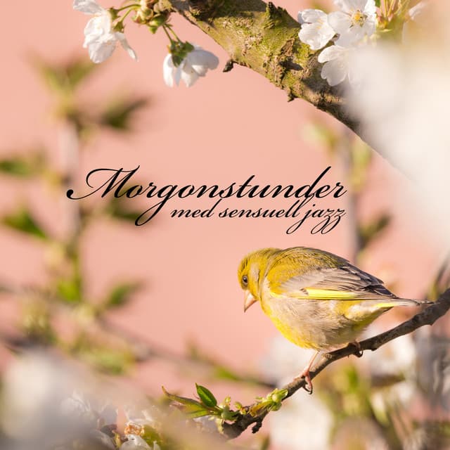 Morgonstunder med sensuell jazz - Calm Background Paradise