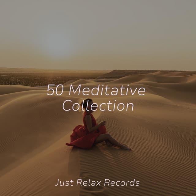 50 Meditative Collection - Dog Music
