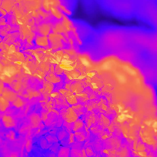 Backdrop for Coffee Nocturno - Piano Bossa Nova Duo - Relax Chillout Lounge