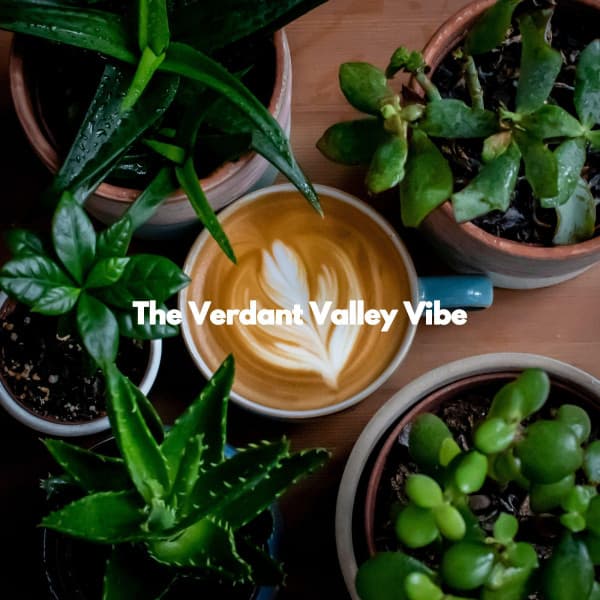 The Verdant Valley Vibe - Jazz Rilassante Ritmi