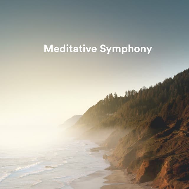 Meditative Symphony - The Mellow One