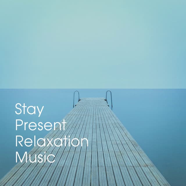 Stay Present Relaxation Music - Oasis de Détente et Relaxation