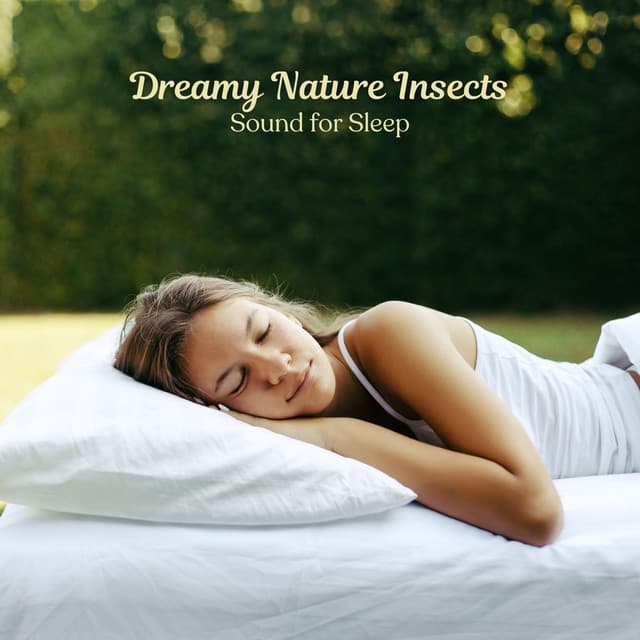Dreamy Nature Insects: Sound for Sleep - Cricket Sounds