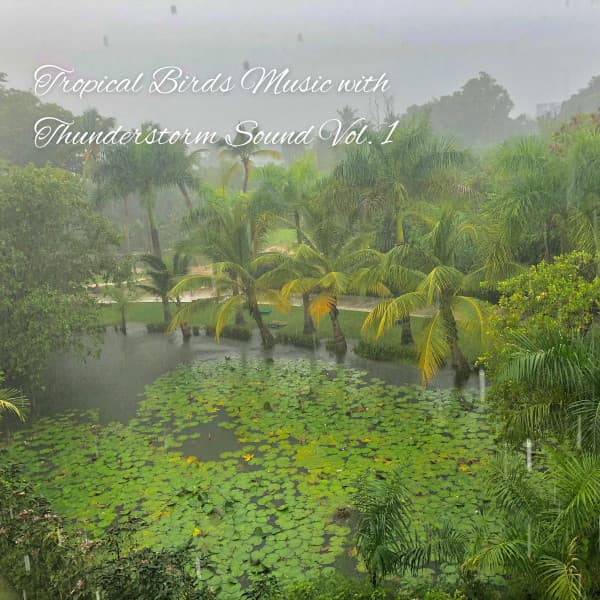 Tropical Birds Music with Thunderstorm Sound Vol. 1 - Spa Station
