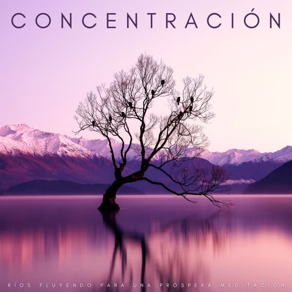 Meditaciones Espirituales