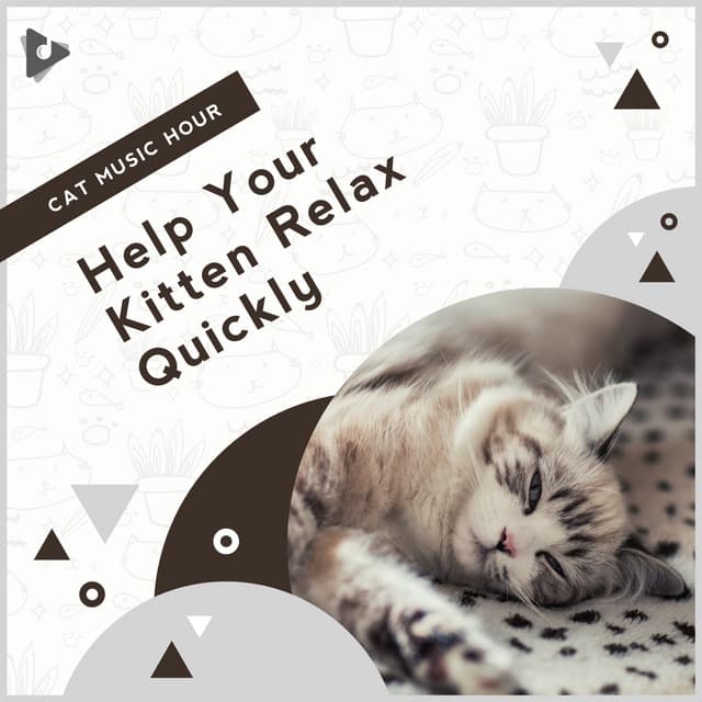 Help Your Kitten Relax Quickly - Cat Music Hour
