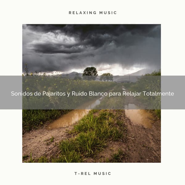 Sonidos de Pajaritos y Ruido Blanco para Relajar Totalmente - Ruido Para Bebé