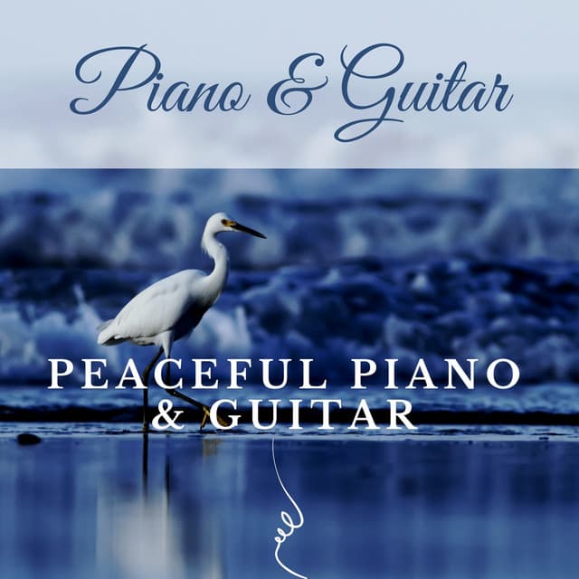 Piano & Guitar