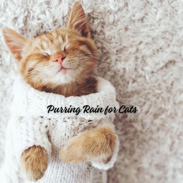 Purring Rain for Cats - Rain & Thunder