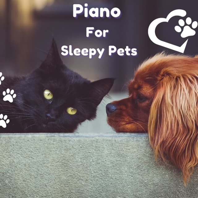 Piano For Sleepy Pets - Piano Peace