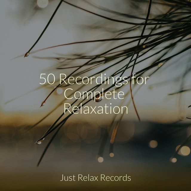 50 Recordings for Complete Relaxation - Lounge relax