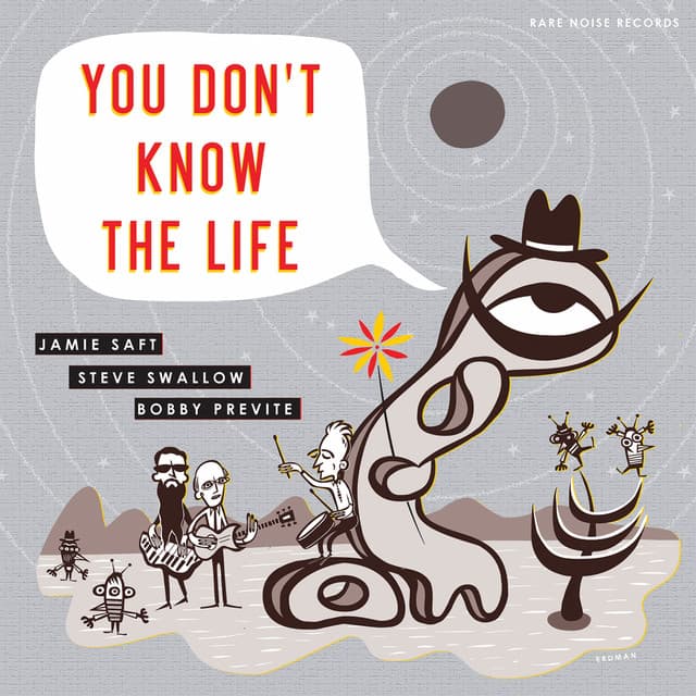 You Don't Know the Life - Jamie Saft