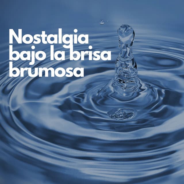 Nostalgia bajo la brisa brumosa - La biblioteca al aire libre